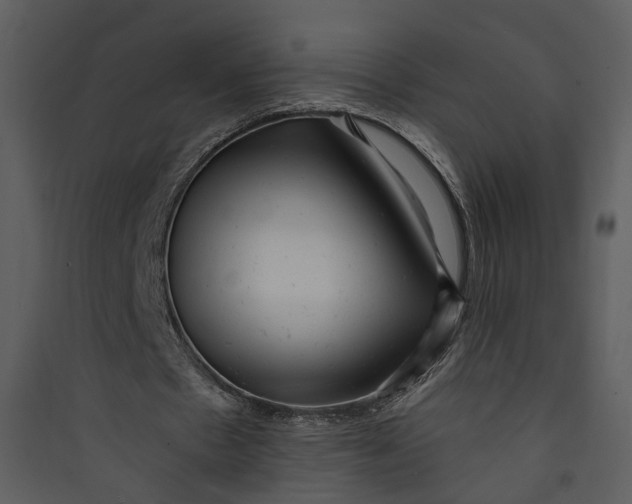 X0000089760481200707121407