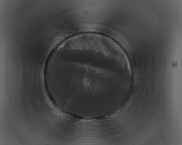 X0000089760482200707121407