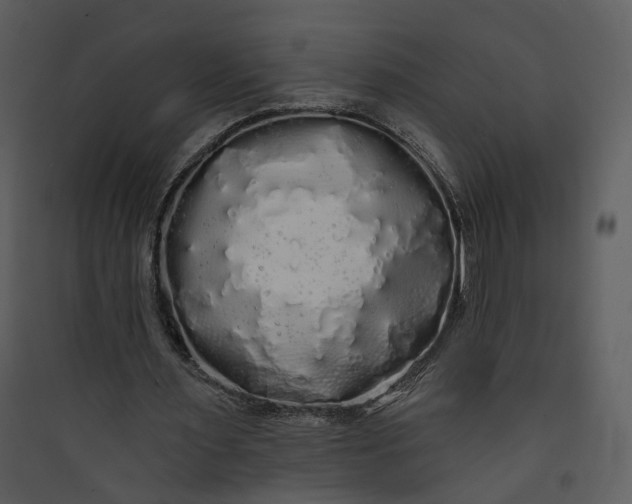 X0000089760483200707121407