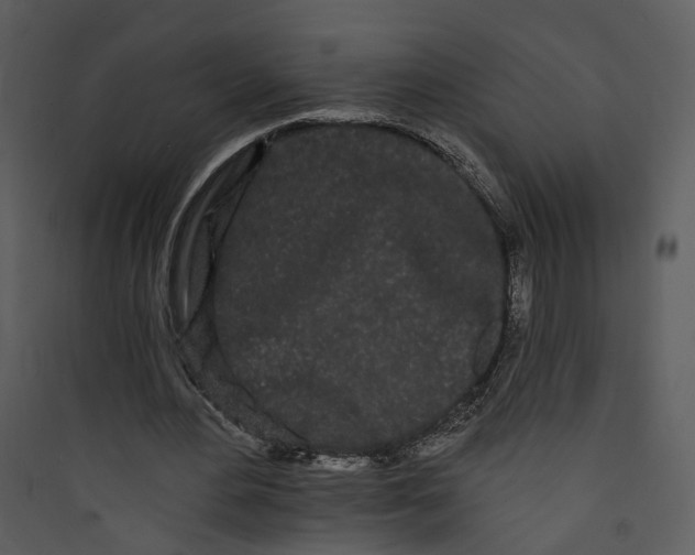 X0000089760484200707121407