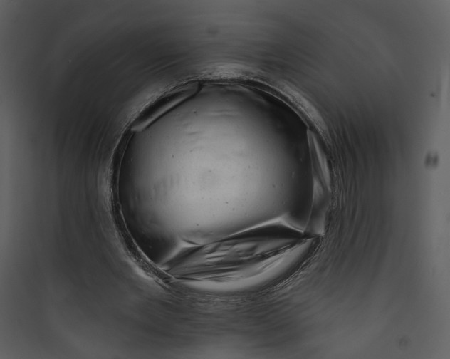 X0000089760485200707121407