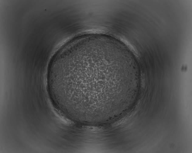 X0000089760486200707121407