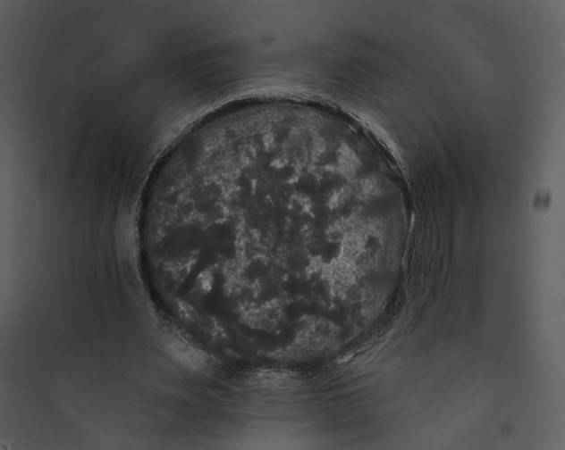 X0000089760487200707121406