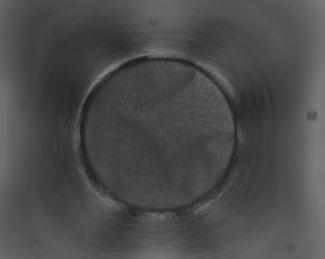 X0000089760488200707121406