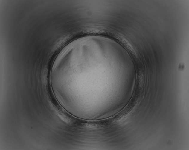 X0000089760490200707121406