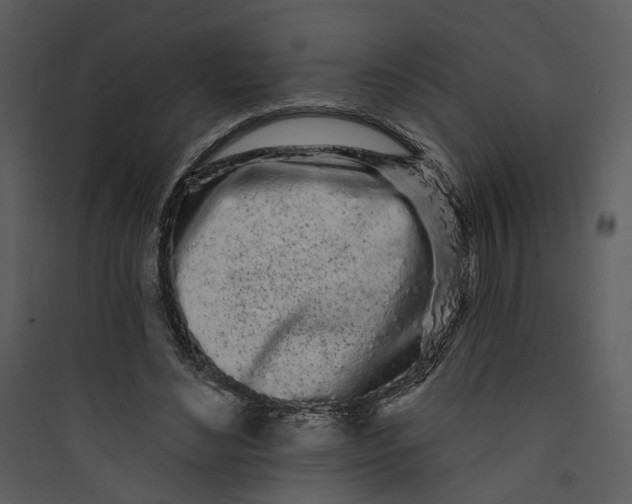 X0000089760492200707121406