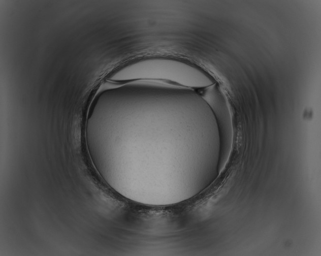 X0000089760493200707121406