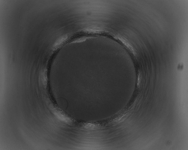 X0000089760494200707121406