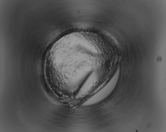 X0000089760496200707121406