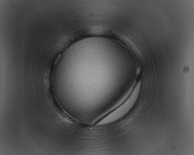 X0000089760497200707121406