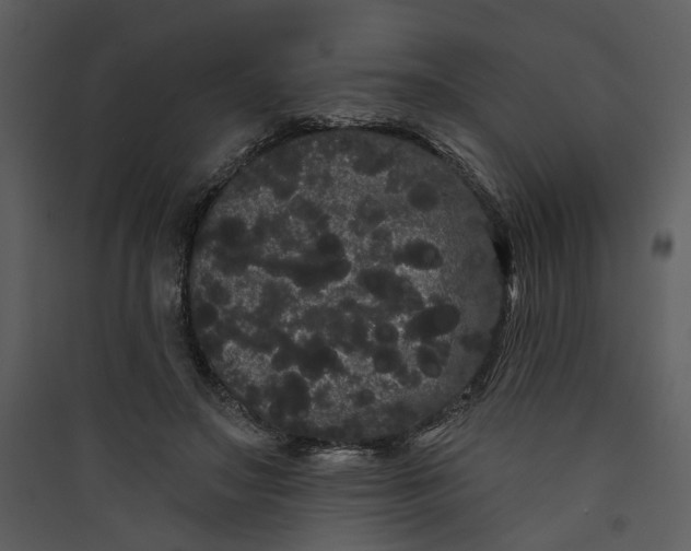 X0000089760499200707121406