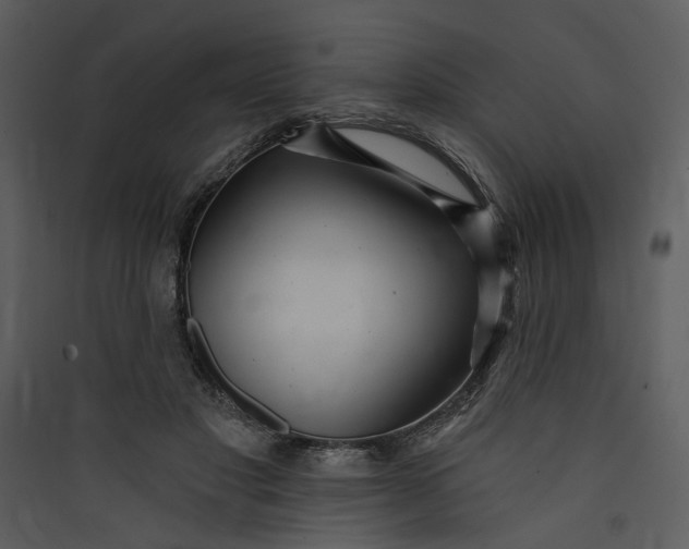 X0000089760501200707121406