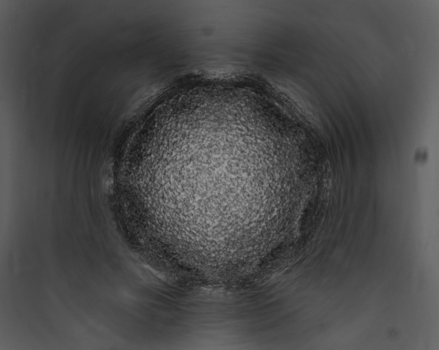 X0000089760502200707121406