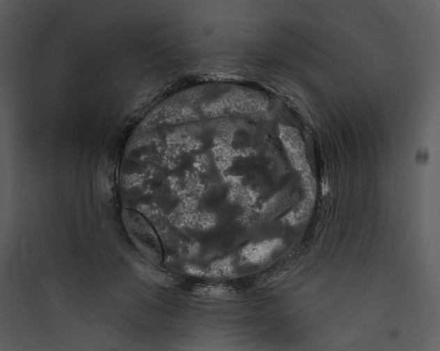 X0000089760503200707121406