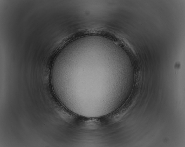 X0000089760505200707121406