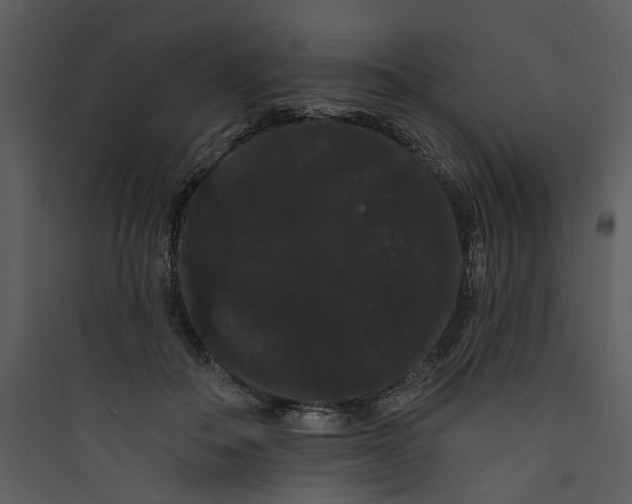 X0000089760506200707121406