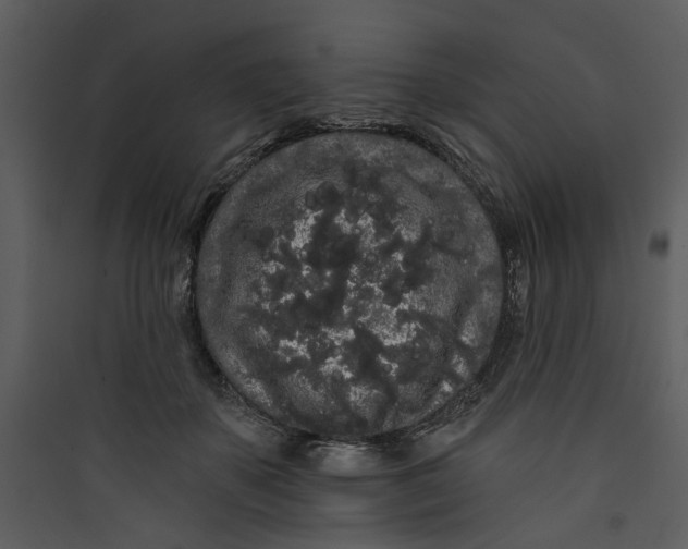 X0000089760507200707121406