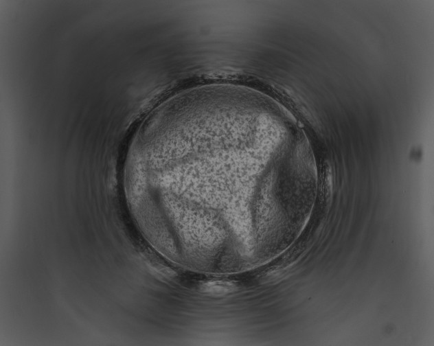 X0000089760508200707121406