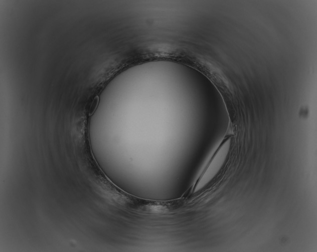 X0000089760509200707121406