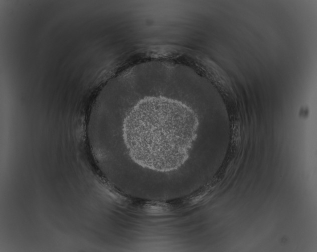 X0000089760510200707121406