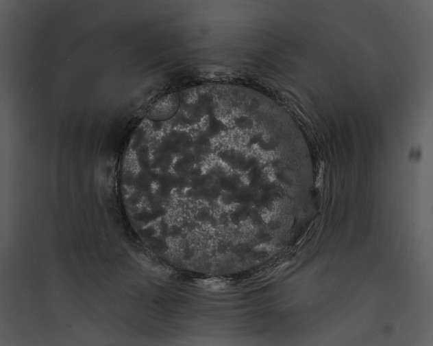 X0000089760511200707121406