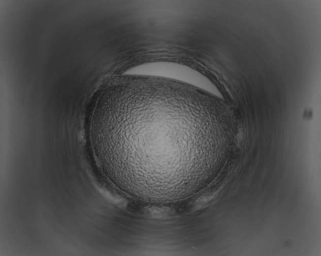 X0000089760512200707121406