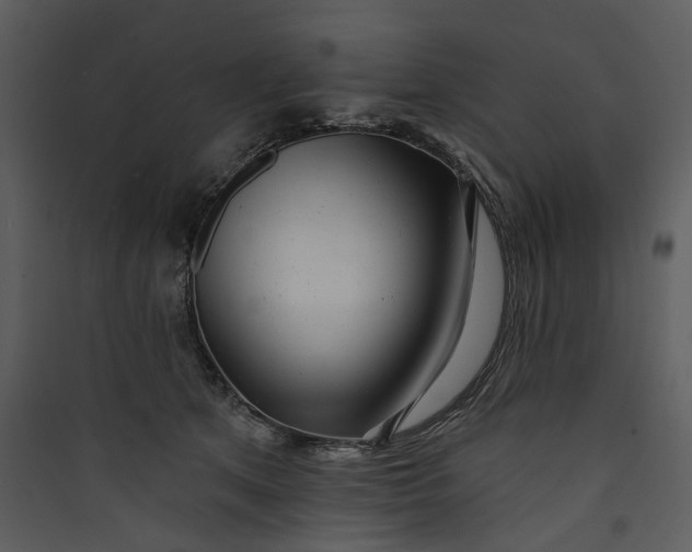 X0000089760513200707121406