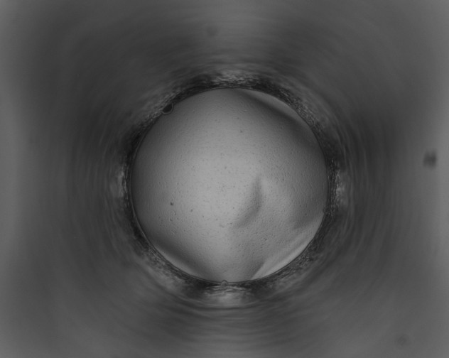 X0000089760514200707121406