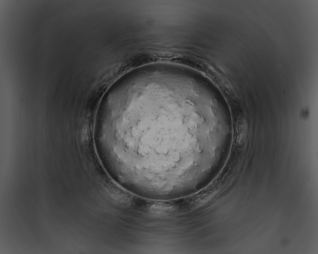 X0000089760515200707121406