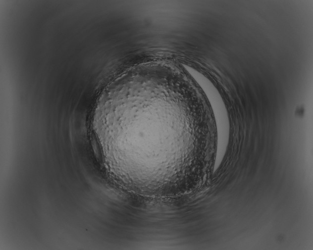 X0000089760516200707121406