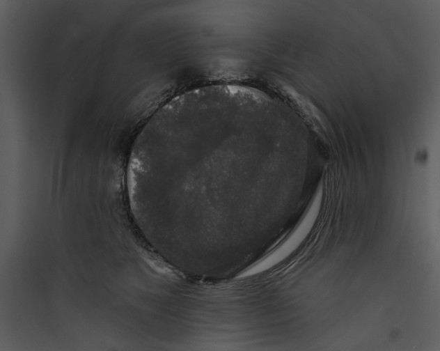 X0000089760517200707121406