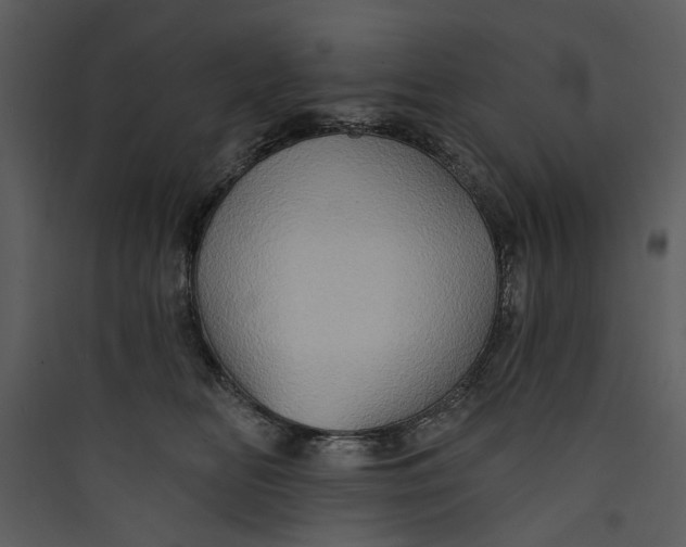 X0000089760518200707121406