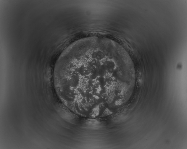 X0000089760519200707121406