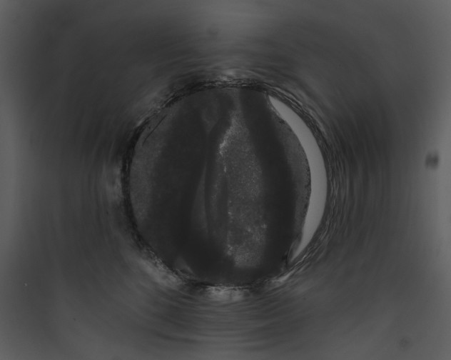 X0000089760520200707121406