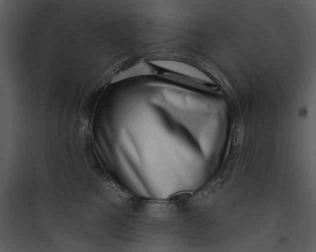 X0000089760521200707121406