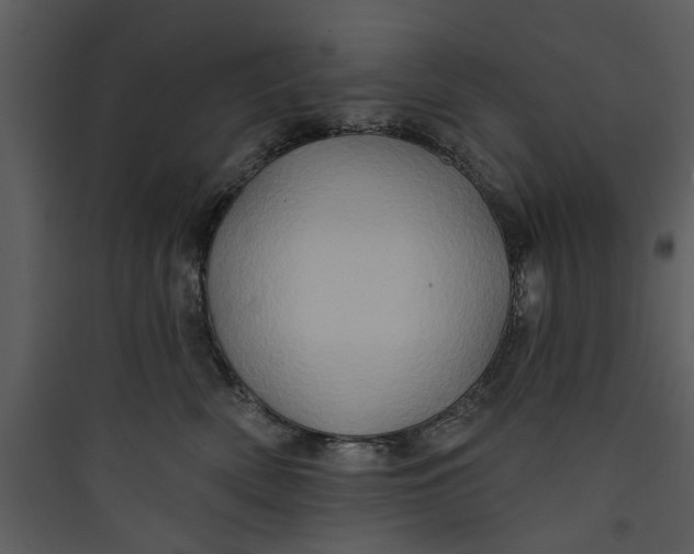 X0000089760522200707121406