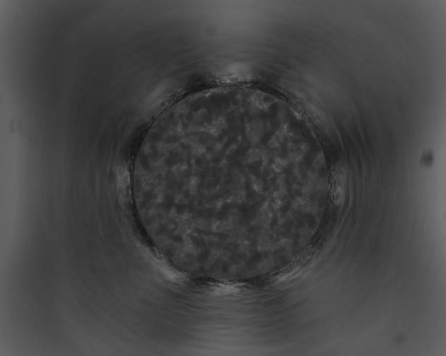 X0000089760523200707121406