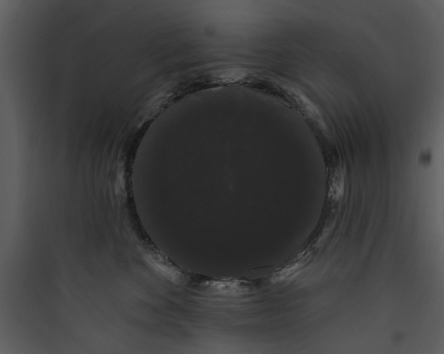 X0000089760524200707121406