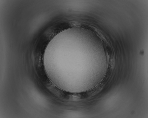 X0000089760525200707121406