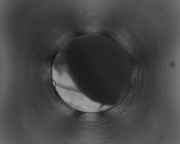 X0000089760526200707121406