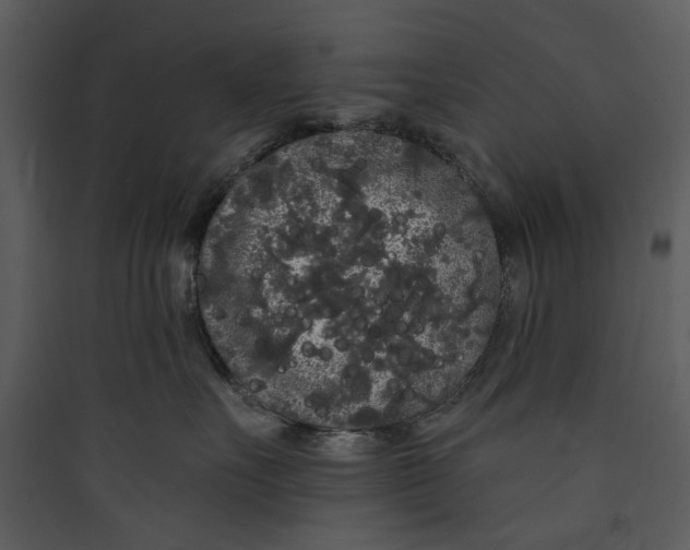 X0000089760527200707121406