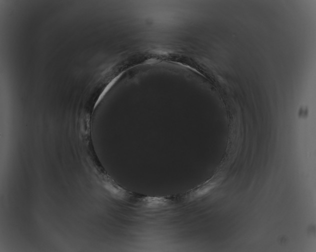 X0000089760528200707121406