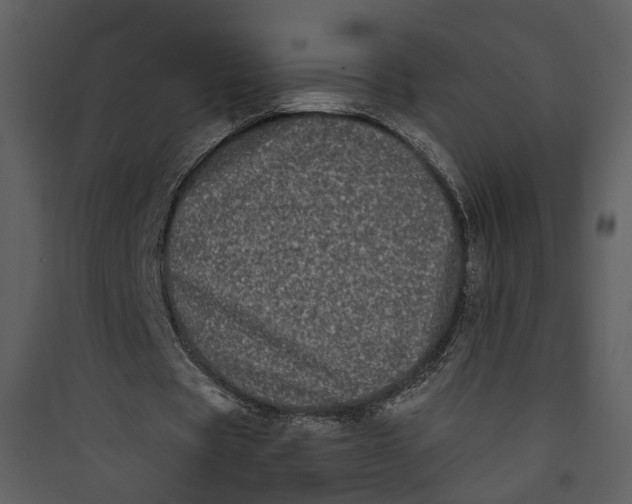 X0000089760529200707121405