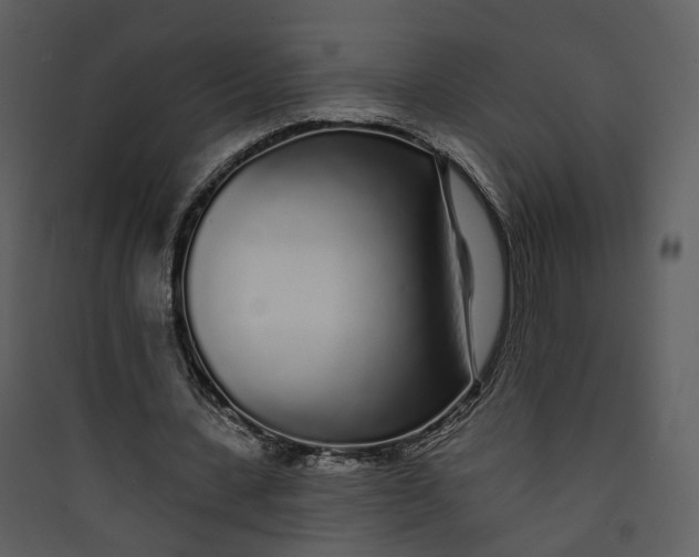 X0000089760531200707121405