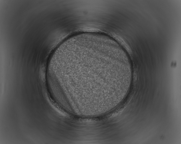 X0000089760533200707121405