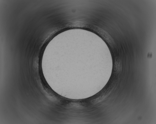 X0000089760534200707121405