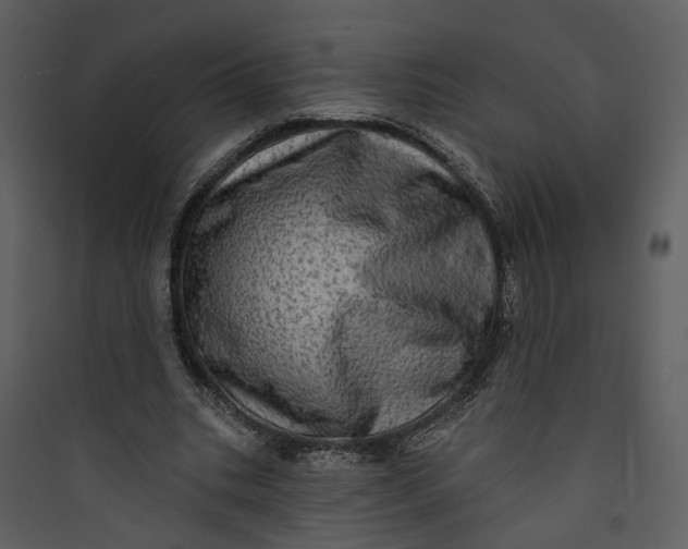 X0000089760535200707121405