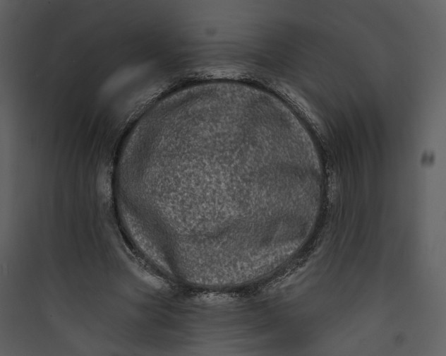 X0000089760537200707121405