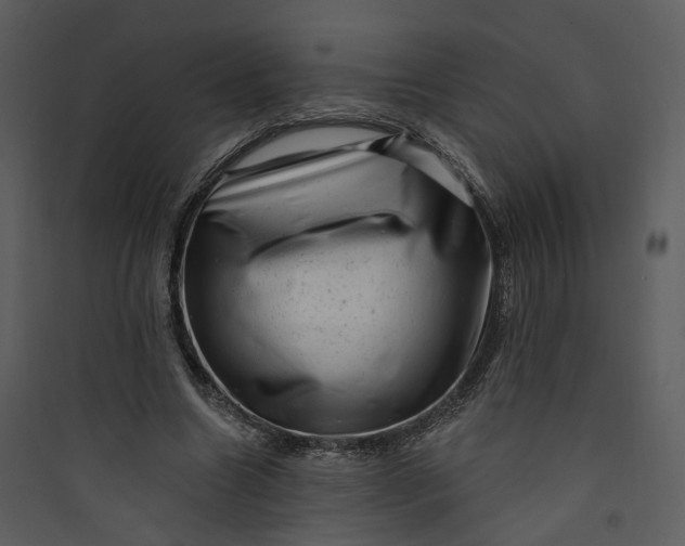 X0000089760538200707121405