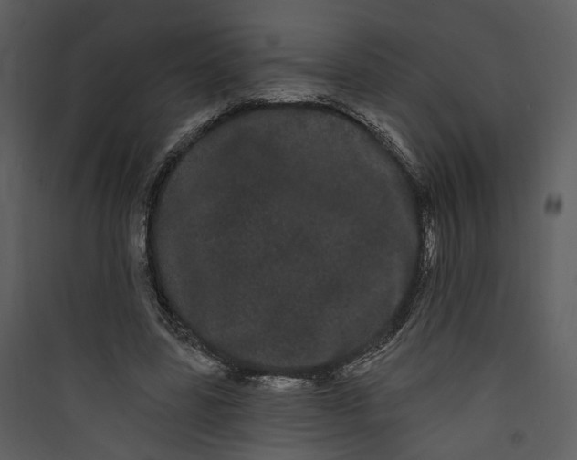 X0000089760539200707121405